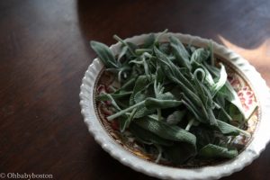 Sage leaves waiting to be fried crisp for the knish dough and the garnish.